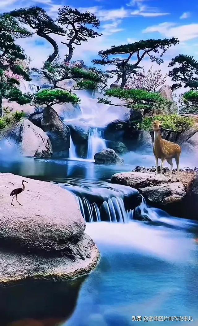 有一种友情叫谢娜何炅，那么何炅会什么时候放弃谢娜？游戏画面